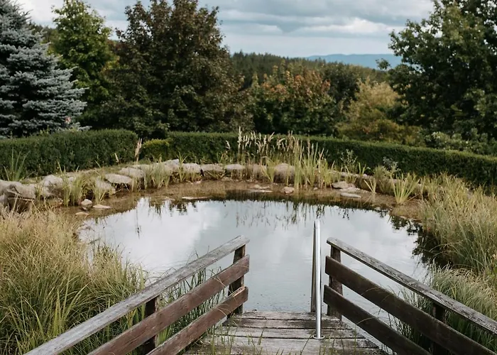 Em Javornik Apartment Vacov